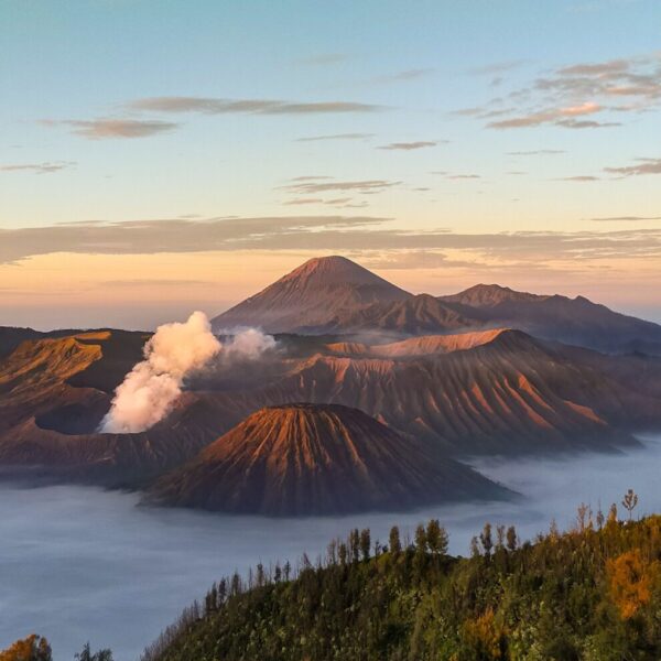 Indonesie_StudiesUP 3